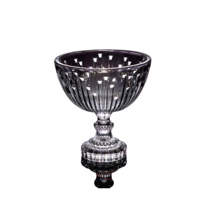 photo ۲۰۲۵ ۰۸ ۲۸ ۲۲ ۳۳ ۵۵ removebg preview